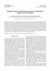 Research paper thumbnail of Endophytic fungi as potential biocontrol agents of Phytophthora palmivora in the cocoa plant