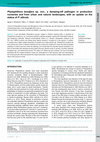 Research paper thumbnail of Phytophthora boodjera sp. nov., a damping-off pathogen in production nurseries and from urban and natural landscapes, with an update on the status of P. alticola