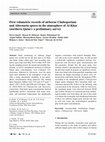 Research paper thumbnail of First volumetric records of airborne Cladosporium and Alternaria spores in the atmosphere of Al Khor (northern Qatar): a preliminary survey