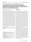 Research paper thumbnail of In situ observations of Akashiwo sanguinea (Dinophyceae) displaying life cycle stages during blooms in a subtropical estuary