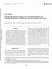 Research paper thumbnail of Integrated geophysical imaging of rare earth element-bearing iron oxide-apatite deposits in the Eastern Adirondack Highlands, New York