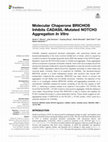 Research paper thumbnail of Molecular Chaperone BRICHOS Inhibits CADASIL-Mutated NOTCH3 Aggregation In Vitro