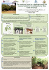 Research paper thumbnail of The mangrove forest as a feeding ground and nursery habitat for the ichthyofauna: Mida Creek in Kenya