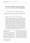 Research paper thumbnail of Reproductive Biology of the Common Octopus (Octopus vulgaris Cuvier, 1797) in South Kenya