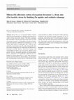 Research paper thumbnail of Silicon (Si) alleviates cotton (Gossypium hirsutum L.) from zinc (Zn) toxicity stress by limiting Zn uptake and oxidative damage