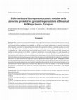 Research paper thumbnail of Diferencias en las representaciones sociales de la atención prenatal en gestantes que asisten al Hospital de Minga Guazú, Paraguay