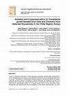 Research paper thumbnail of Isolation and Cryopreservation of Toxoplasma gondii Isolates from Cats and Chickens from Selected Households in the Thika Region, Kenya