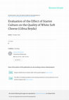 Research paper thumbnail of Evaluation of the Effect of Starter Culture on the Quality of White Soft Cheese (Gibna Beyda)