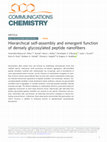 Research paper thumbnail of Hierarchical self-assembly and emergent function of densely glycosylated peptide nanofibers