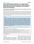 Research paper thumbnail of Immunohistochemical Detection of a Unique Protein within Cells of Snakes Having Inclusion Body Disease, a World-Wide Disease Seen in Members of the Families Boidae and Pythonidae