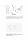 Research paper thumbnail of Some Algorithmic diagrams