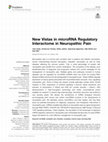 Research paper thumbnail of New Vistas in microRNA Regulatory Interactome in Neuropathic Pain