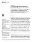 Research paper thumbnail of A Jump-from-Cavity Pyrophosphate Ion Release Assisted by a Key Lysine Residue in T7 RNA Polymerase Transcription Elongation