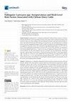 Research paper thumbnail of Pathogenic Leptospira spp. Seroprevalence and Herd-Level Risk Factors Associated with Chilean Dairy Cattle