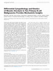 Research paper thumbnail of Differential Cytopathology and Kinetics of Measles Oncolysis in Two Primary B-cell Malignancies Provides Mechanistic Insights