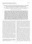 Research paper thumbnail of Evaluation of Genetic Diversity among Pseudomonas citronellolis Strains Isolated from Oily Sludge-Contaminated Sites