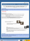 Research paper thumbnail of A case report of Langerhan cells histiocytosis - the need for a good transition care