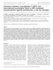 Research paper thumbnail of Interaction between neuropeptide Y (NPY) and brain-derived neurotrophic factor in NPY-mediated neuroprotection against excitotoxicity: a role for microglia