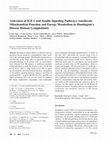 Research paper thumbnail of Activation of IGF-1 and Insulin Signaling Pathways Ameliorate Mitochondrial Function and Energy Metabolism in Huntington’s Disease Human Lymphoblasts