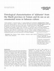 Research paper thumbnail of Petrological characterisation of ‘alabaster’ from the Marib province in Yemen and its use as an ornamental stone in Sabaean culture