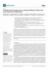 Research paper thumbnail of A Helquat-like Compound as a Potent Inhibitor of Flaviviral and Coronaviral Polymerases