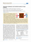 Research paper thumbnail of Aggregation Gatekeeper and Controlled Assembly of Trpzip β-Hairpins