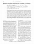 Research paper thumbnail of Photophysical, Electrochemical, and Theoretical Study of Protriptyline in Several Solvents