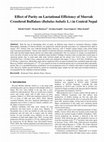 Research paper thumbnail of Effect of Parity on Lactational Efficiency of Murrah Crossbred Buffaloes ( Bubalus bubalis L . ) in Central Nepal