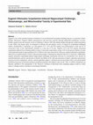 Research paper thumbnail of Eugenol Attenuates Scopolamine-Induced Hippocampal Cholinergic, Glutamatergic, and Mitochondrial Toxicity in Experimental Rats