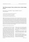 Research paper thumbnail of Male Tibetan macaques'(Macaca thibetana) choice of infant bridging partners