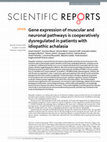 Research paper thumbnail of Gene expression of muscular and neuronal pathways is cooperatively dysregulated in patients with idiopathic achalasia