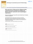 Research paper thumbnail of New specimens of Mourasuchus (Alligatorioidea, Caimaninae) from the Miocene of Brazil and Bolivia and their taxonomic and morphological implications