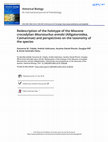 Research paper thumbnail of Redescription of the holotype of the Miocene crocodylian Mourasuchus arendsi (Alligatoroidea, Caimaninae) and perspectives on the taxonomy of the species