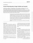 Research paper thumbnail of InvasiveMycoleptodiscusfungal cellulitis and myositis