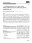 Research paper thumbnail of The intraflagellar transport protein IFT20 controls lysosome biogenesis by regulating the post-Golgi transport of acid hydrolases