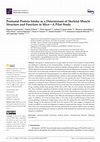 Research paper thumbnail of Postnatal Protein Intake as a Determinant of Skeletal Muscle Structure and Function in Mice—A Pilot Study