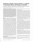 Research paper thumbnail of Methionine sulfoxide reductase (MsrA) is a regulator of antioxidant defense and lifespan in mammals