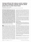 Research paper thumbnail of Selenium-deficient diet enhances protein oxidation and affects methionine sulfoxide reductase (MsrB) protein level in certain mouse tissues