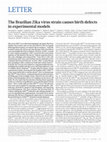 Research paper thumbnail of The Brazilian Zika virus strain causes birth defects in experimental models