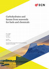 Research paper thumbnail of Carbohydrates And Furans From Seaweeds For Fuels And Chemicals