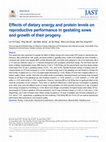 Research paper thumbnail of Effects of dietary energy and protein levels on reproductive performance in gestating sows and growth of their progeny