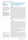 Research paper thumbnail of Multi-factorial Mechanism Behind COVID-19 Related Thrombosis