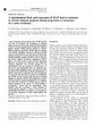 Research paper thumbnail of A mitochondrial block and expression of XIAP lead to resistance to TRAIL-induced apoptosis during progression to metastasis of a colon carcinoma