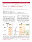 Research paper thumbnail of The heme oxygenase-1 and c-FLIP in acute myeloid leukemias: two non-redundant but mutually exclusive cellular safeguards protecting cells against TNF-induced cell death?