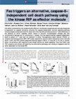 Research paper thumbnail of Fas triggers an alternative, caspase-8-independent cell death pathway using the kinase RIP as effector molecule