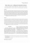 Research paper thumbnail of Onion (Allium cepa L.) seedling growth using humic substances