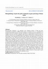 Research paper thumbnail of Histopathology of peste des petits ruminants in goats and sheep of Sistan region