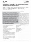 Research paper thumbnail of Contribution of Mitophagy to Cell-Mediated Mineralization: Revisiting a 50-Year-Old Conundrum