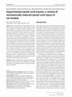 Research paper thumbnail of Experimental spinal cord trauma: a review of mechanically induced spinal cord injury in rat models