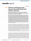 Research paper thumbnail of 2000 Year-old Bogong moth (Agrotis infusa) Aboriginal food remains, Australia